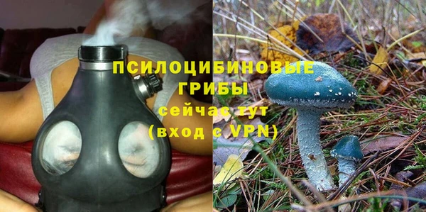 гашик Алексин