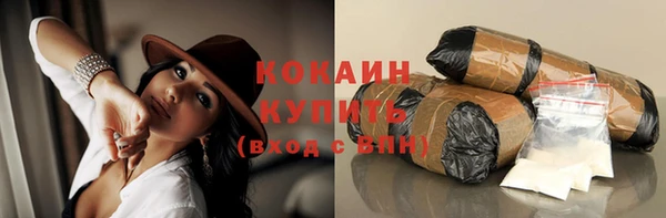 гашик Алексин