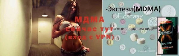 гашик Алексин
