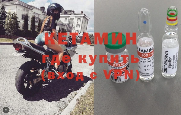 крисы Алзамай