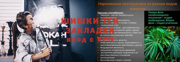 гашик Алексин