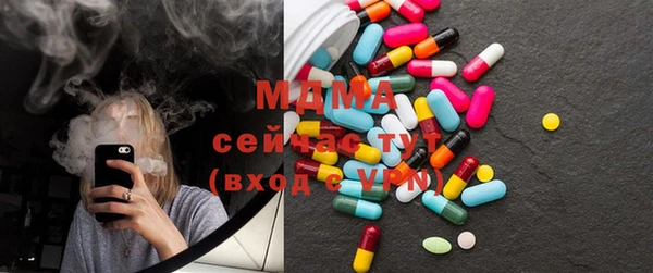 гашик Алексин