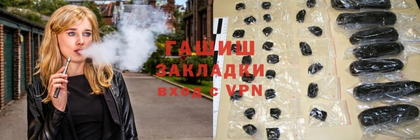 гашик Алексин