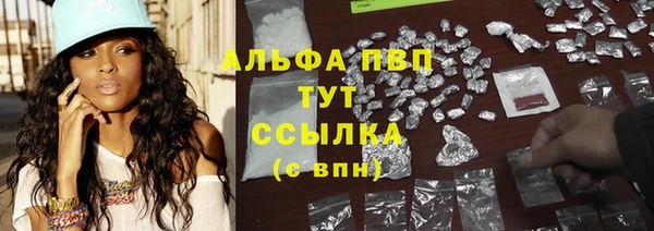 крисы Алзамай