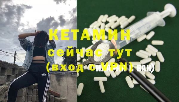 гашик Алексин