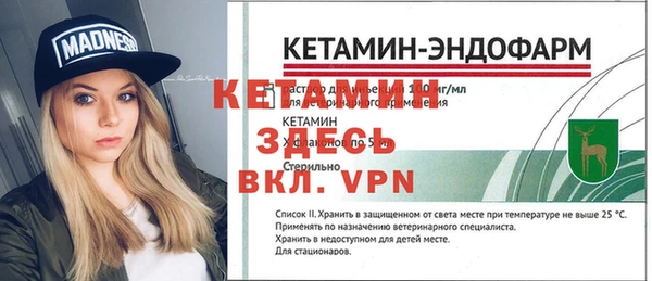 гашик Алексин