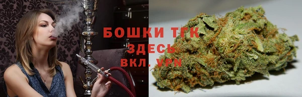 крисы Алзамай