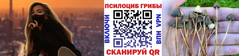 Галлюциногенные грибы Magic Shrooms  Купить где  Алагир 